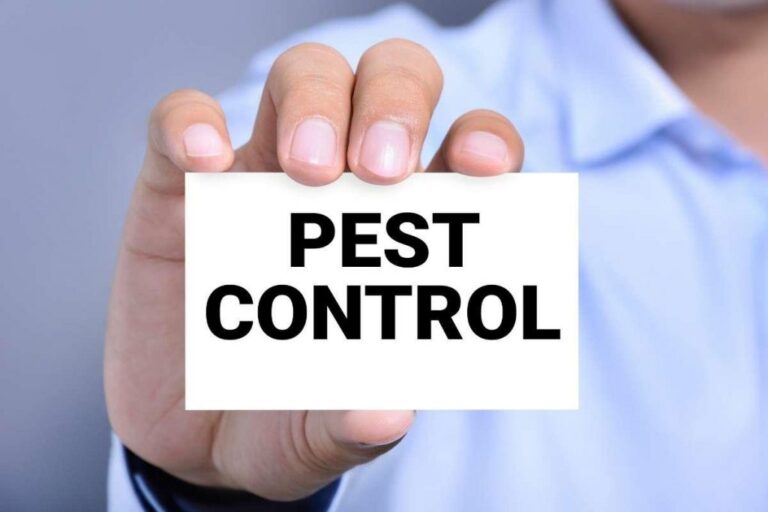 شركة مكافحة البق بجدة