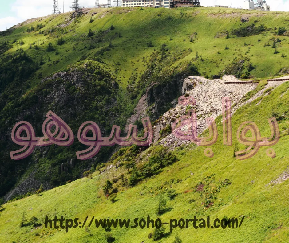 تنسيق حدائق بمكة